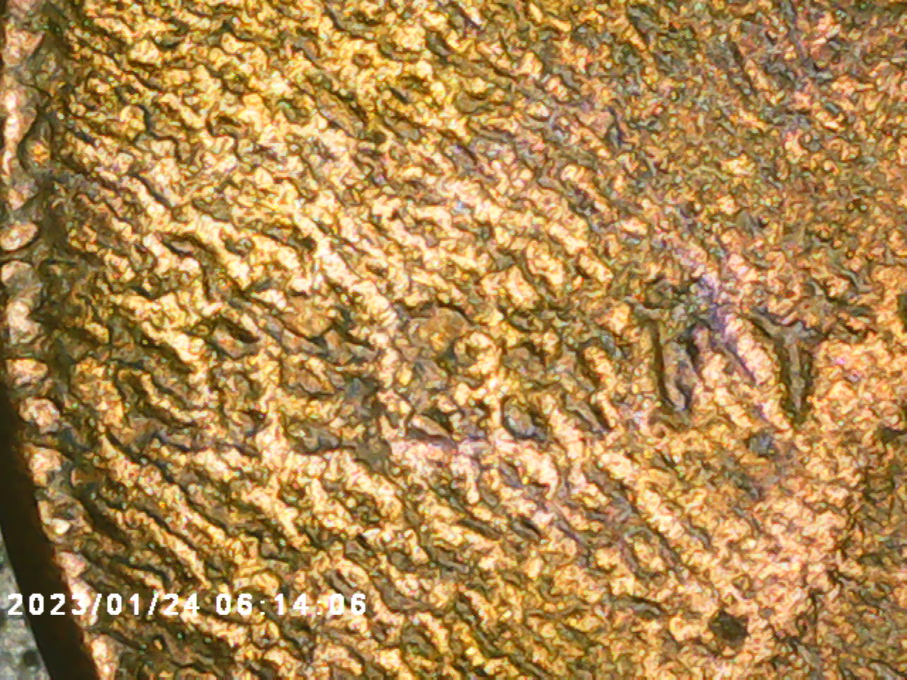 1979-D-Lincoln,-Sand-Blasted?